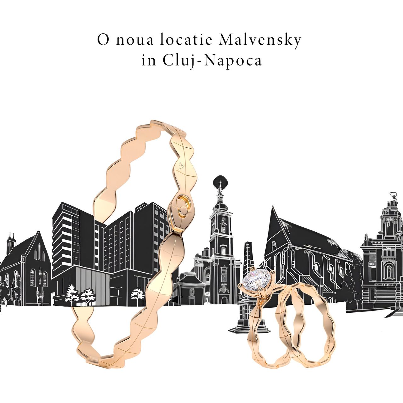 Cluj-Napoca