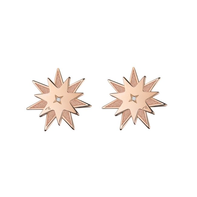 14 k rose gold Luceafar earrings with one element